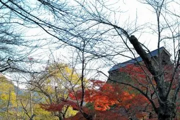 <p>Another close-up photo of Furusato-no Ie from a different angle</p>