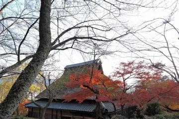 <p>Whichever angle you see this house from, it reminds you of the good old days of Japan!</p>