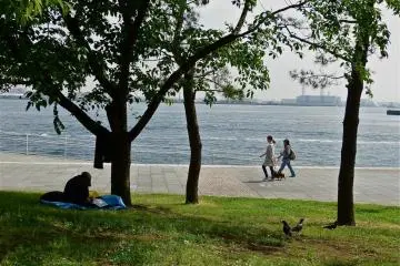 Berjalan-jalanlah di sepanjang teluk dan di samping pohon pinus yang indah ini