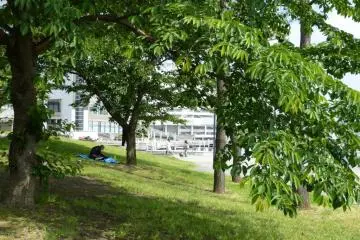 Tempat yang cocok untuk duduk-duduk, membaca buku, dan sekadar bersantai