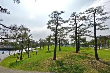 Oasis di tengah kota!