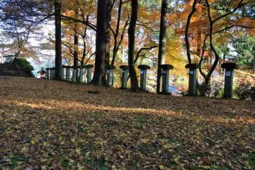 아름다운 카펫처럼 덮고 있는 낙엽