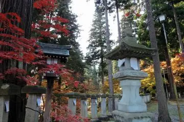 <p>Stone and wooden lanterns, beautiful red maple leaves and tall trees on the shrine grounds</p>