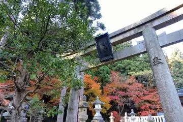 <p>The second torii&nbsp; to the main hall</p>