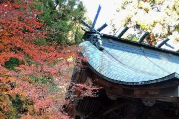 <p>Beautiful roof of the main hall</p>