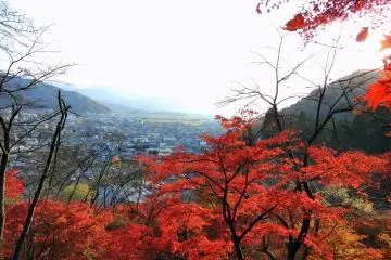 언덕 꼭대기에서 내려다 본 도시의 전경