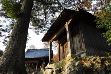 마침내, 나는 언덕 꼭대기에 다다랐고 콘피라 신사의 작은 건물들을 보았다!