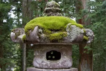 <p>Beautiful stone lanterns across the entire shrine area</p>