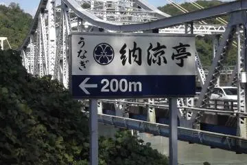 Eel, this way!