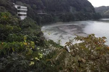 This is where it is