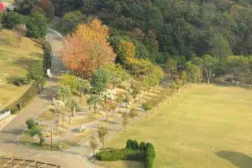 <p>Animal figures in Moricoro Park</p>