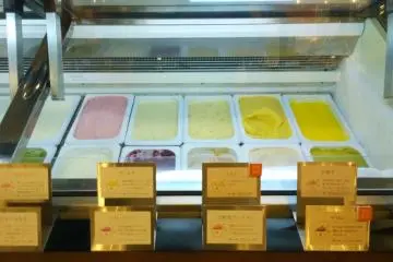 <p>ไอศกรีมเจลลาโต้หลากรสของ&nbsp;GELATERIA HANANOKI ที่น่าลองทุกรสเลยล่ะ</p>