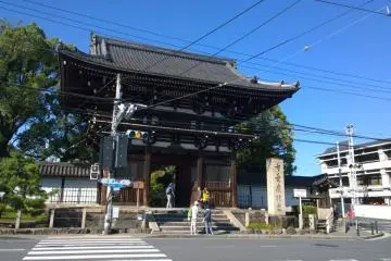 Gallery image