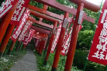<p>Cette s&eacute;rie de torii rouge marque l'entr&eacute;e du sanctuaire Sasuke Inari. Je n'ai pas compt&eacute; les torii mais ils suivent le chemin jusqu'au sanctuaire. La plupart des torii de bois ont &eacute;t&eacute; remplac&eacute;s par des torii en plastique</p>

