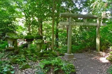 <p>Ce torii et ces petits sanctuaires avec des renards de pierre et de porcelaine &eacute;taient situ&eacute;s derri&egrave;re le sanctuaire principal. J'aime la fa&ccedil;on dont la mousse les recouvre</p>
