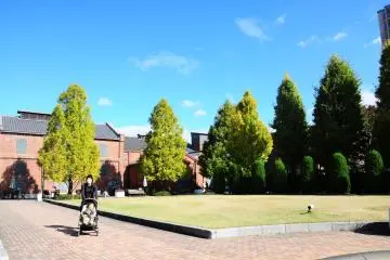 <p>Such a bright day to take your kid strolling around</p>