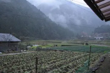 Overcast day