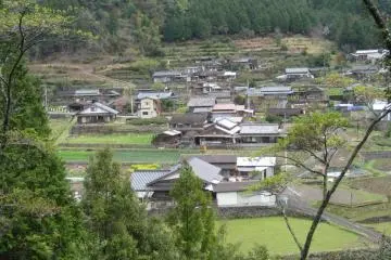 Town from above