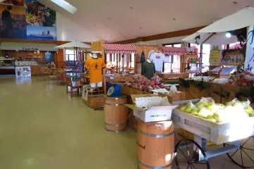 Inside Dole Land's main building