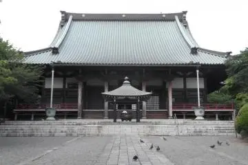 Gallery image
