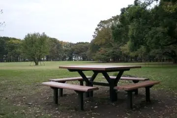 <p>Who's in for a picnic?&nbsp;</p>