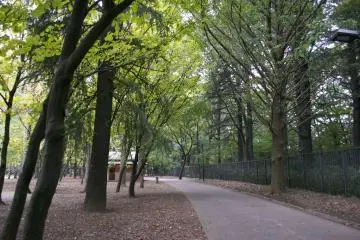 <p>Walking through the paths of the park</p>