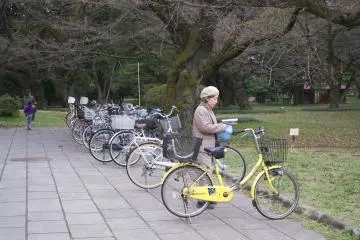 <p>What a beautiful yellow bike! I want one too</p>