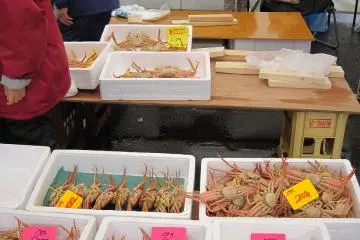 어장에서 항구가 가까운 미쿠니는 항구에 오르는 꽃게의 신선도가 높기 때문에 맛이 좋다고 평판이다