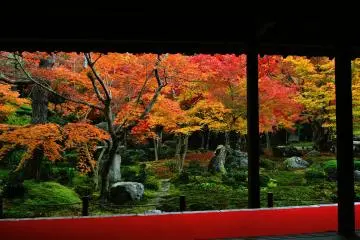 <p>The Garden of Ju-Gyu (ten oxen) is a strolling garden round a pond, designed according to Ten Ox Herding Pictures</p>