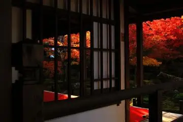 <p>Red light filtering through from the outside veranda and the lattice window at the entrance of Hojo building</p>
