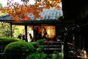Visitors appreciating beautiful autumn leaves from the Room of Shisen