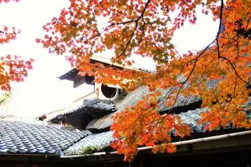 Autumn leaves hang in front the graceful roof of the villa