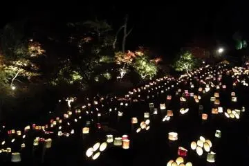 <p>The rows of lanterns remind me of an airport landing strip in the distance.</p>