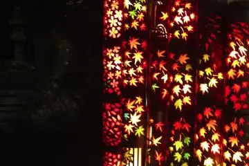 <p>Some of the lanterns feature themed carvings such as these in the shapes of various leaves.</p>