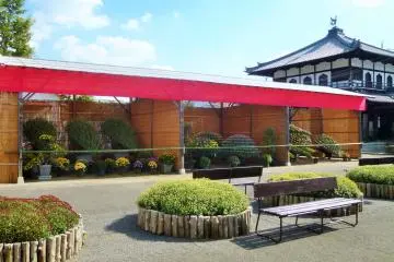 <p>Although 600,000 people visit the festival, it never felt too crowded and the special exhibition area was especially peaceful.</p>