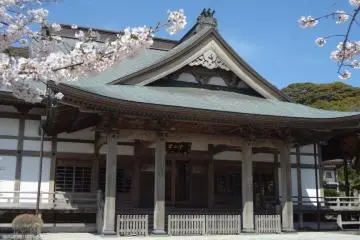 The temple in spring is alive with cherry trees.