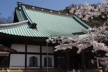 Cherry trees grace the main hall.