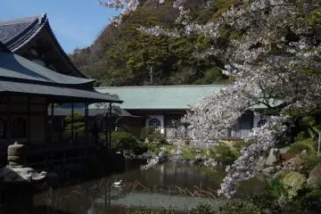 The temple has a pretty little pond.