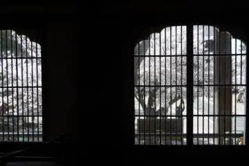 Looking out from the main hall.