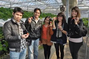 <p>Kunjungi kebun stroberi yang siap berbuah di musim dingin Januari-Februari 2015.</p>