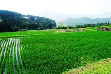 <p>ในช่วงฤดูร้อนพื้นที่บริเวณนี้สวยงดงาม แต่ในฤดูอื่นก็ยังมีสิ่งที่น่าสนใจเช่น ดอกลิลลี่แมงมมสีแดงในฤดูใบไม้ร่วง หรือหิมะในช่วงฤดูหนาว</p>
