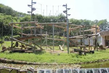 Chimpanzee House