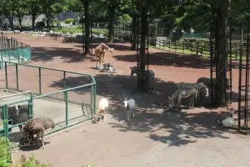 Savannah Garden