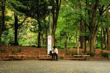 <p>Reading a book in one fine afternoon at the park? Nice choice.</p>