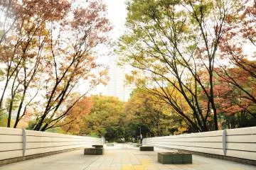 <p>Yellowish and reddish trees coloring the bridge</p>