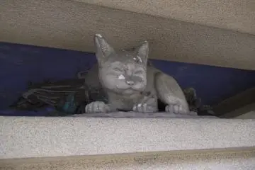 <p>This cat will watch to make sure you wash your hands properly.</p>