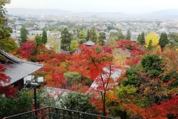 <p>절의 탑에서 내려다 보이는, 단풍으로 가득 찬 정원 풍경</p>