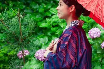 Her kimono and parasol match the hydrangea.