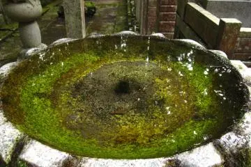<p>clear water signifies a clear heart</p>