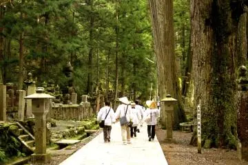 <p>modern-day pilgrims wearing traditional garb&nbsp;</p>